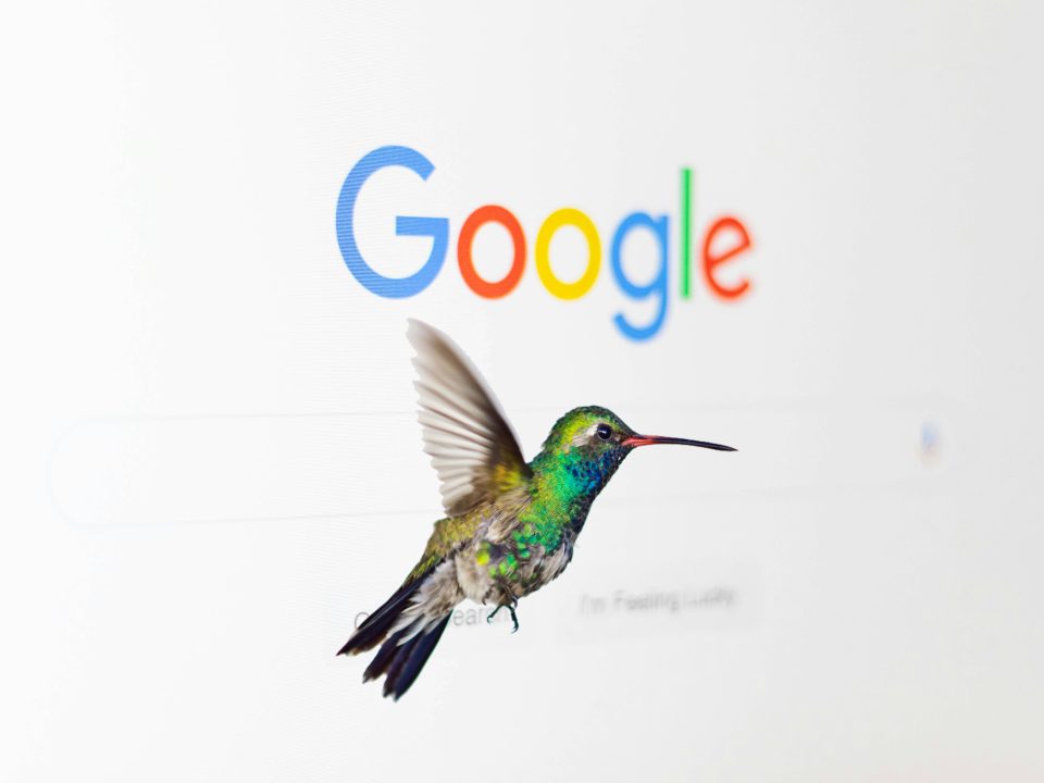 Google Hummingbird, czyli jak algorytm stara się zrozumieć nasze intencje