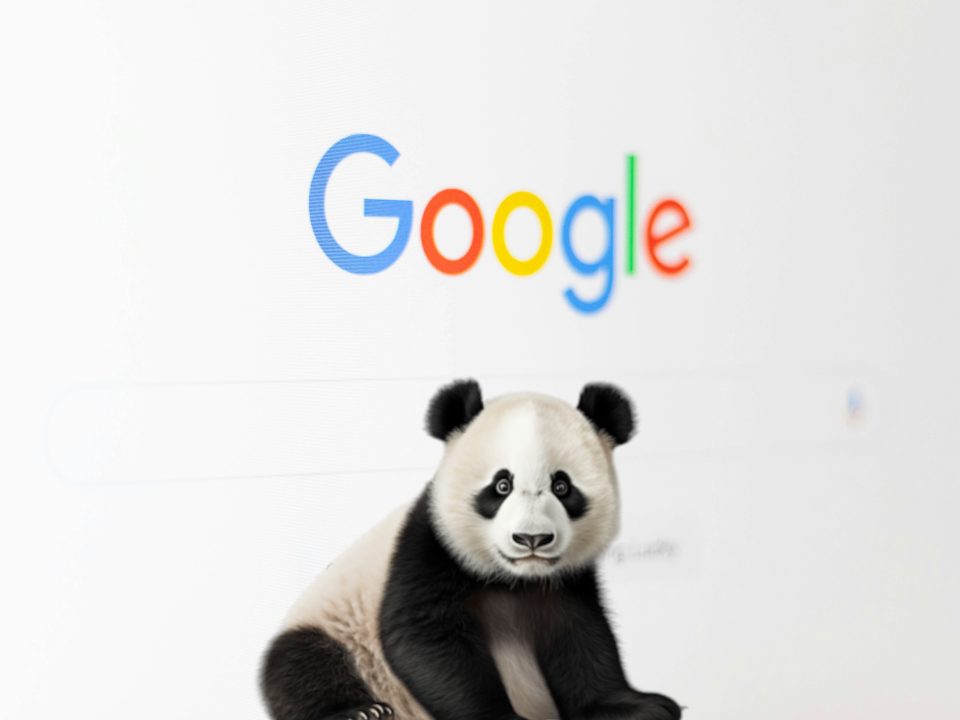 Google Panda: jak dopasować treści do najważniejszego algorytmu wyszukiwarki?